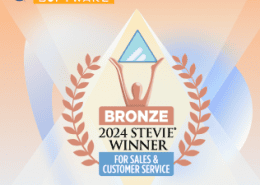 the image depicts the Bronze Stevie award